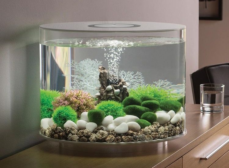 Detail Cara Membuat Lampu Aquarium Sederhana Nomer 24