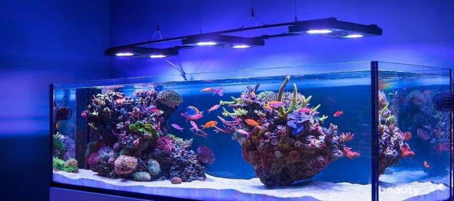 Detail Cara Membuat Lampu Aquarium Sederhana Nomer 27