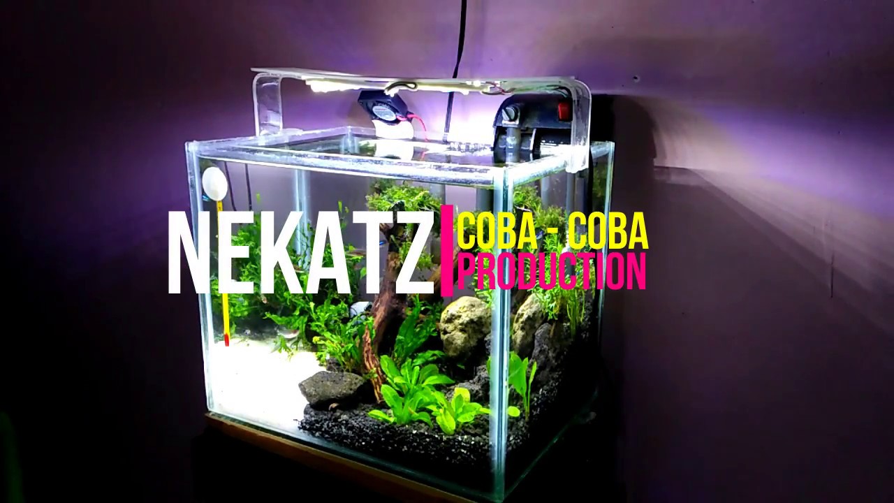 Detail Cara Membuat Lampu Aquarium Sederhana Nomer 33