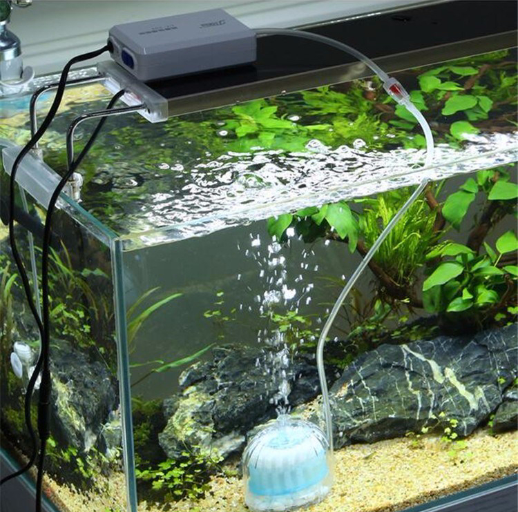 Detail Cara Membuat Lampu Aquarium Sederhana Nomer 37