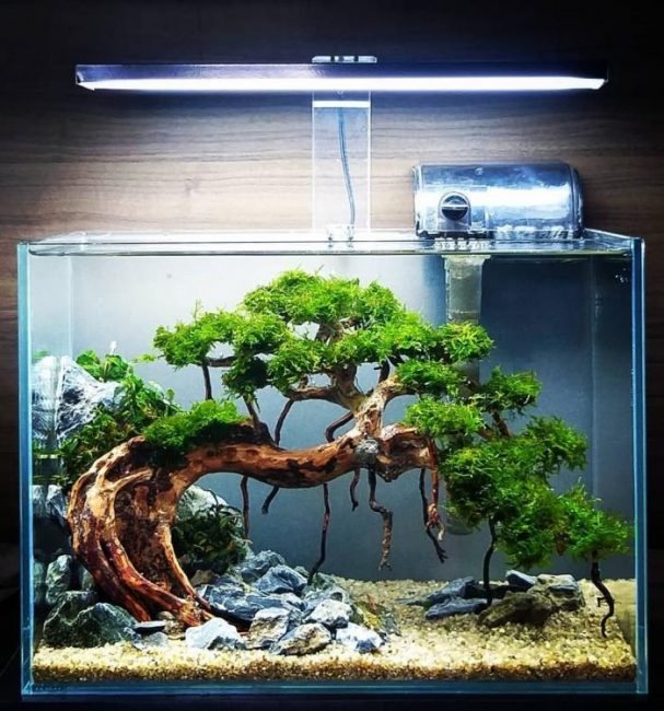 Detail Cara Membuat Lampu Aquarium Sederhana Nomer 43