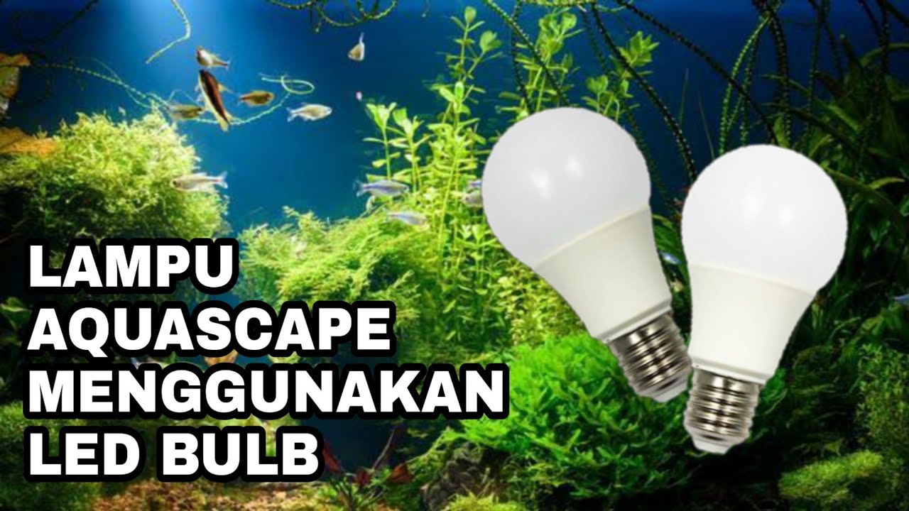 Detail Cara Membuat Lampu Aquarium Sederhana Nomer 6