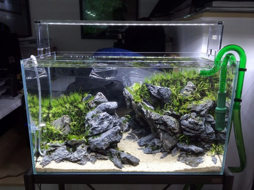 Detail Cara Membuat Lampu Aquarium Sederhana Nomer 50