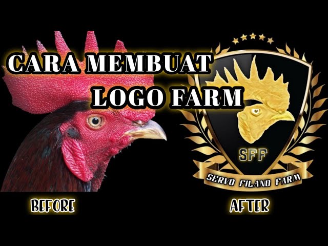 Detail Cara Membuat Logo Farm Ayam Nomer 2