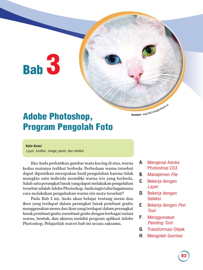 Detail Cara Membuat Nomor Start Di Photoshop Cs3 Nomer 55