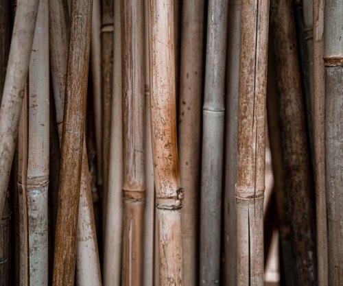 Detail Cara Membuat Rak Tanaman Dari Bambu Nomer 42