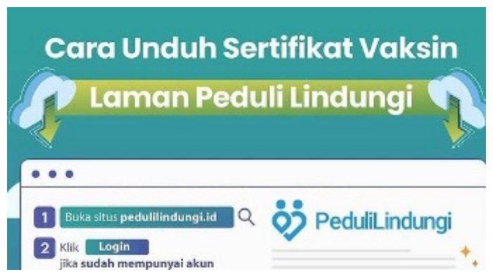 Detail Cara Membuat Sertifikat Imunisasi Online Nomer 41