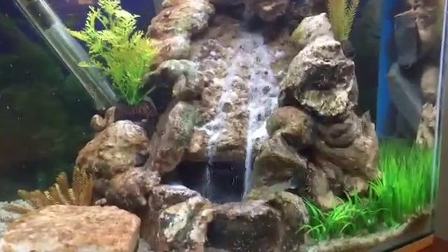 Detail Cara Membuat Tebing Air Terjun Aquarium Dari Styrofoam Nomer 5