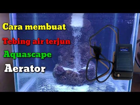 Detail Cara Membuat Tebing Aquascape Nomer 31