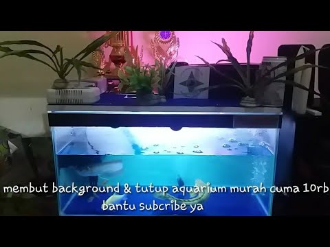 Download Cara Membuat Tutup Aquarium Dari Styrofoam Nomer 2