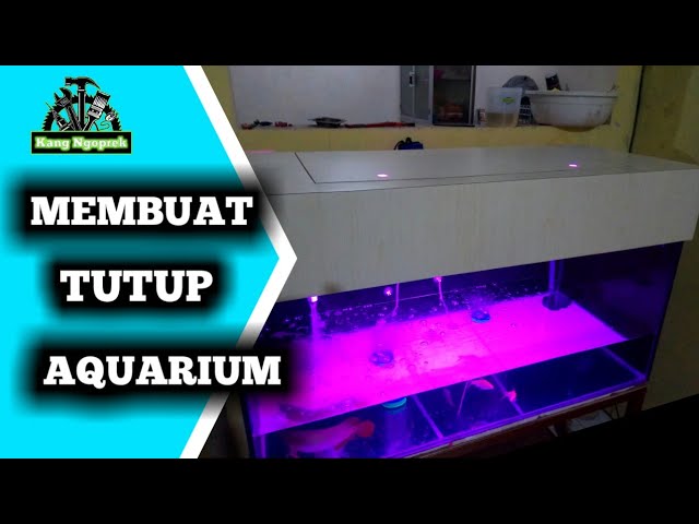 Detail Cara Membuat Tutup Aquarium Dari Styrofoam Nomer 3