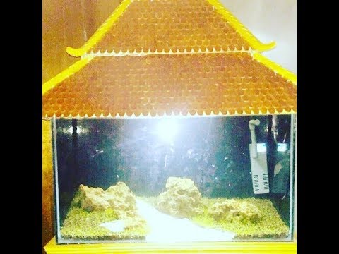 Detail Cara Membuat Tutup Aquarium Dari Triplek Bentuk Rumah Nomer 4