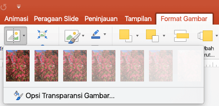 Detail Cara Mengatur Opacity Di Powerpoint Nomer 5