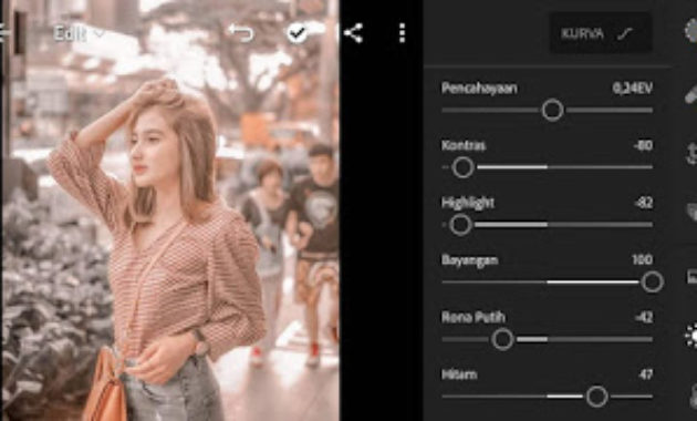 Detail Cara Mengedit Foto Di Lightroom Ala Selebgram Nomer 2