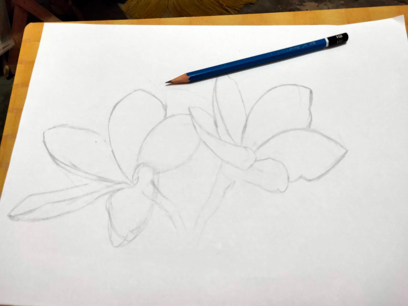 Detail Cara Menggambar Bunga Dengan Pensil Nomer 29