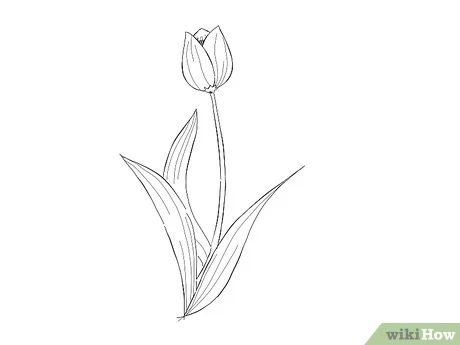 Detail Cara Menggambar Bunga Dengan Pensil Nomer 56