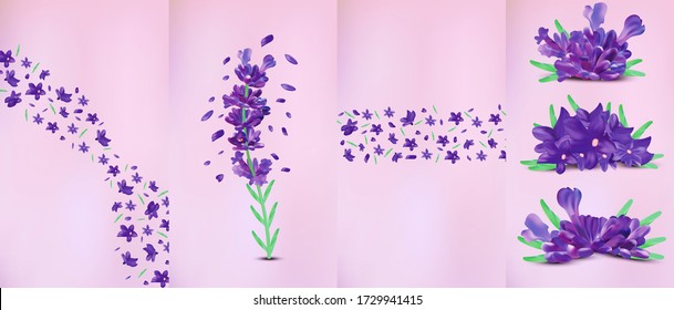 Detail Cara Menggambar Bunga Lavender Nomer 15