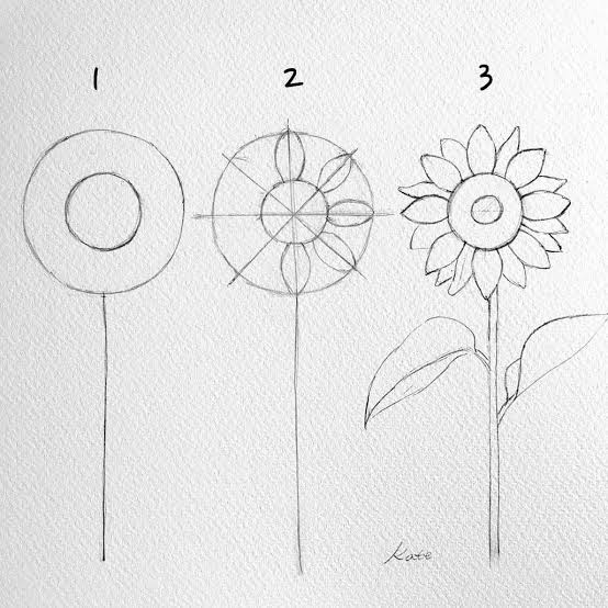 Detail Cara Menggambar Bunga Lavender Nomer 48