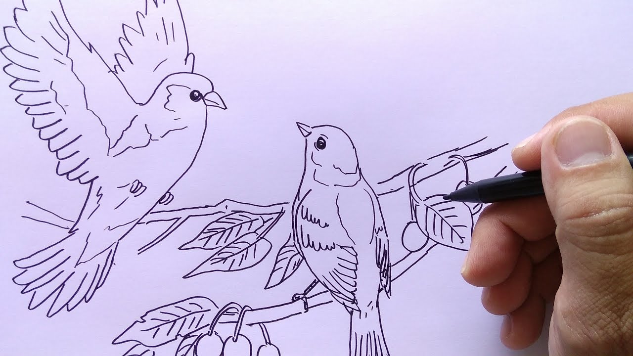 Detail Cara Menggambar Burung Di Pohon Nomer 2