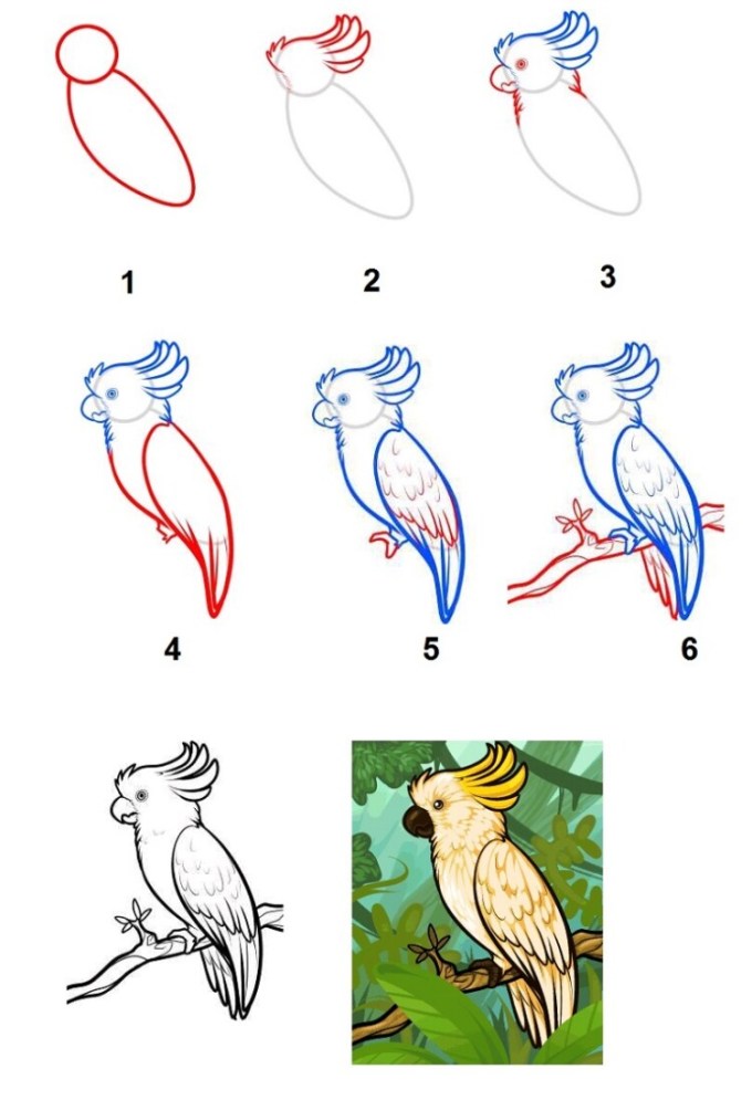 Detail Cara Menggambar Burung Di Pohon Nomer 15