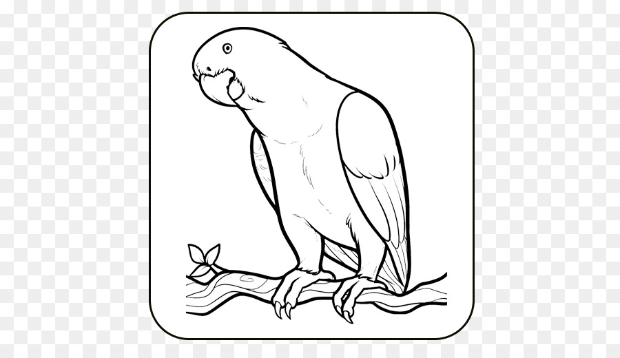 Detail Cara Menggambar Burung Di Pohon Nomer 19