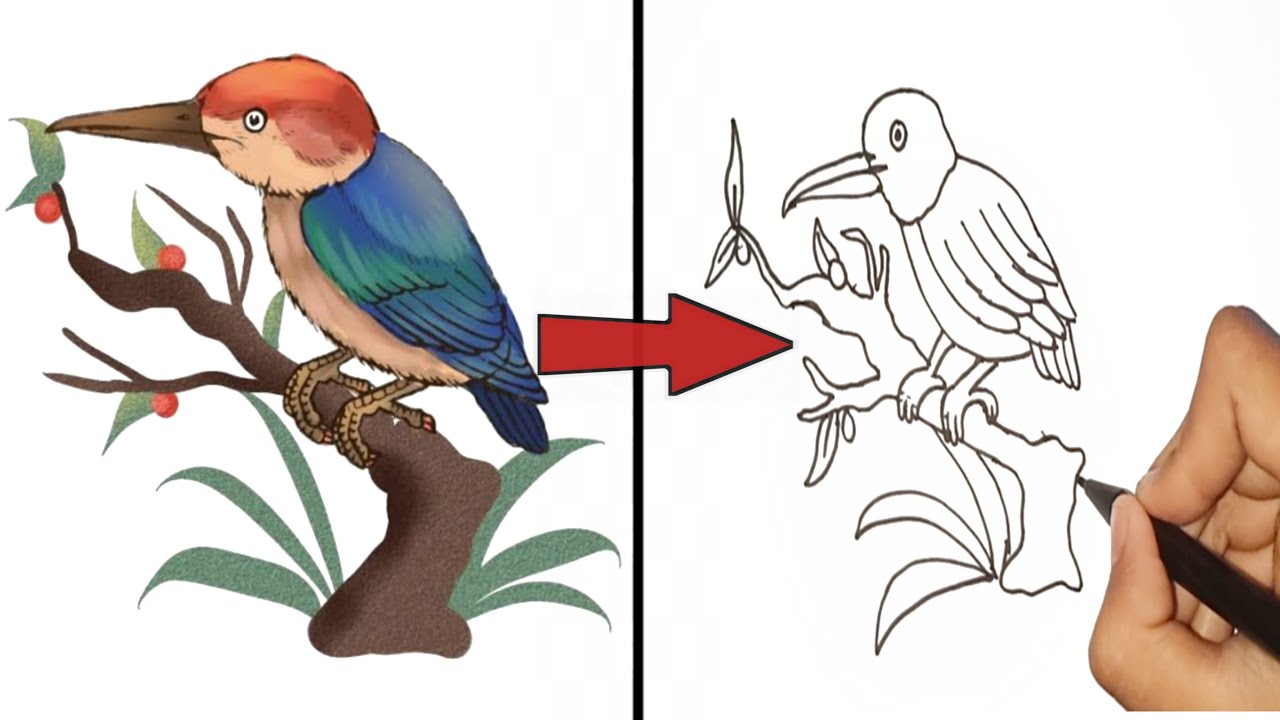 Detail Cara Menggambar Burung Di Pohon Nomer 4