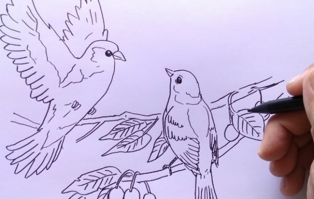 Detail Cara Menggambar Burung Di Pohon Nomer 38