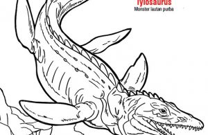 Detail Cara Menggambar Dinosaurus Laut Nomer 27