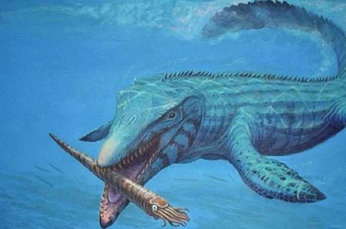 Detail Cara Menggambar Dinosaurus Laut Nomer 39