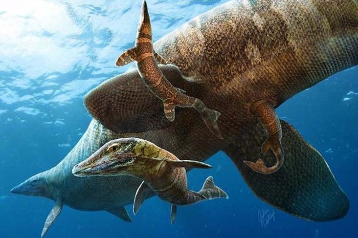 Detail Cara Menggambar Dinosaurus Laut Nomer 53