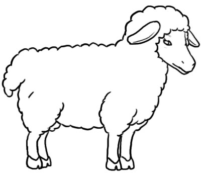Detail Cara Menggambar Kambing Yang Mudah Nomer 11