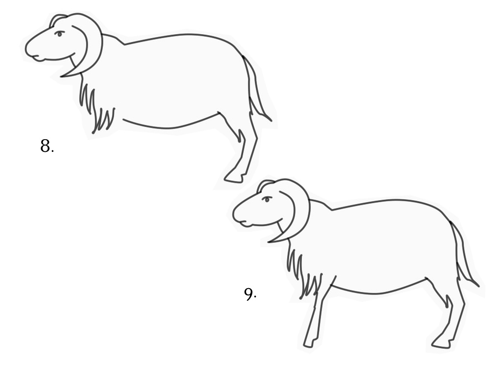 Detail Cara Menggambar Kambing Yang Mudah Nomer 13