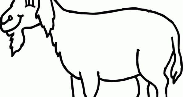 Detail Cara Menggambar Kambing Yang Mudah Nomer 14