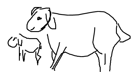 Detail Cara Menggambar Kambing Yang Mudah Nomer 20