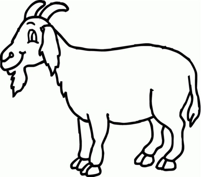 Detail Cara Menggambar Kambing Yang Mudah Nomer 21