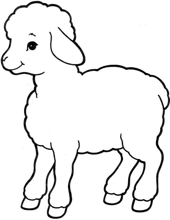 Detail Cara Menggambar Kambing Yang Mudah Nomer 24