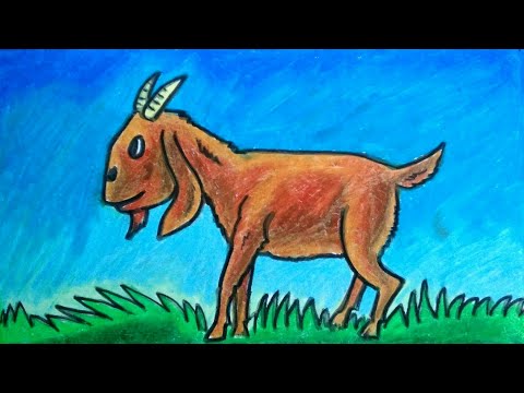 Detail Cara Menggambar Kambing Yang Mudah Nomer 32
