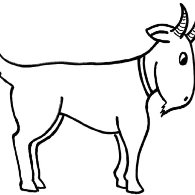 Detail Cara Menggambar Kambing Yang Mudah Nomer 33