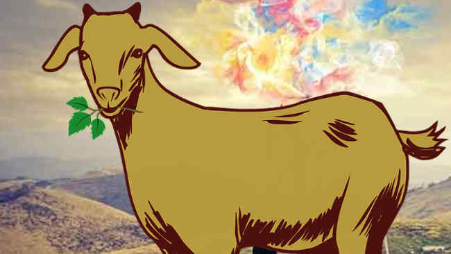 Detail Cara Menggambar Kambing Yang Mudah Nomer 42