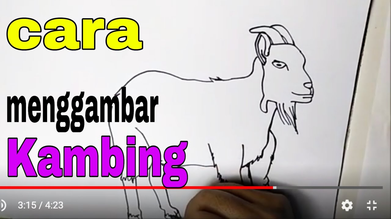Detail Cara Menggambar Kambing Yang Mudah Nomer 43