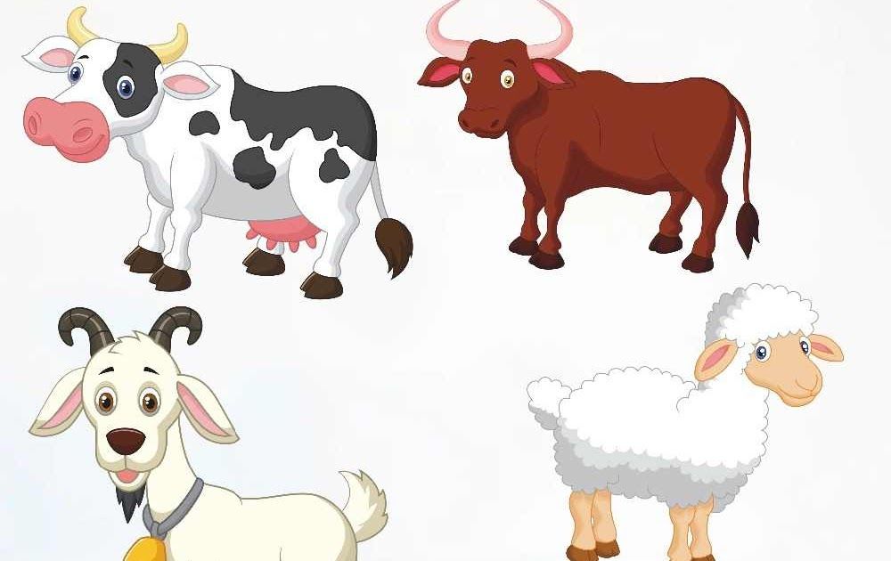 Detail Cara Menggambar Kambing Yang Mudah Nomer 46