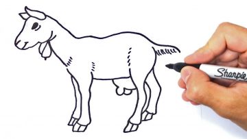 Detail Cara Menggambar Kambing Yang Mudah Nomer 47