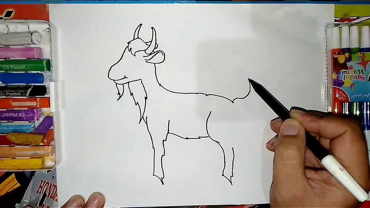 Detail Cara Menggambar Kambing Yang Mudah Nomer 9