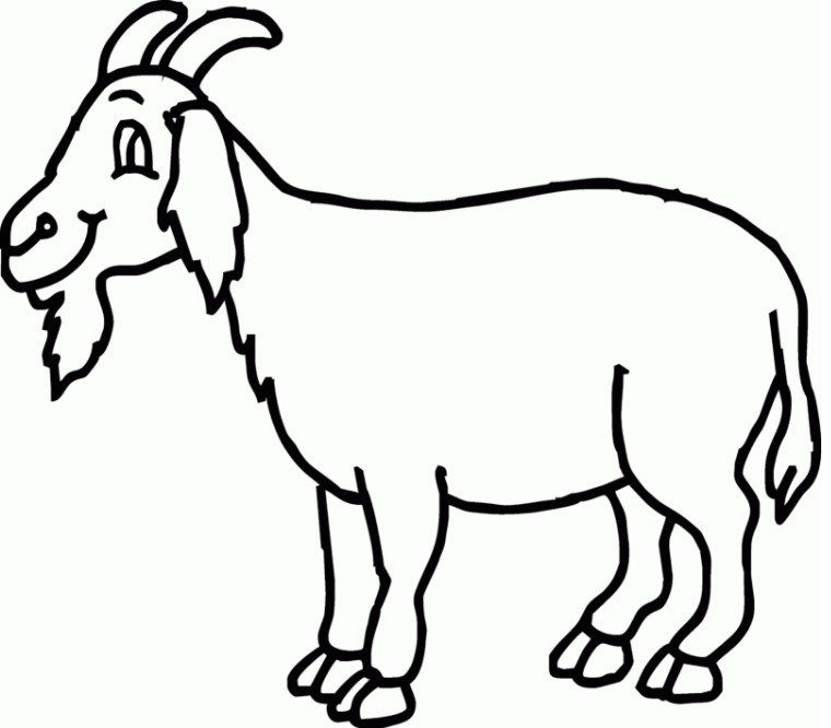 Detail Cara Menggambar Kambing Yang Mudah Nomer 10