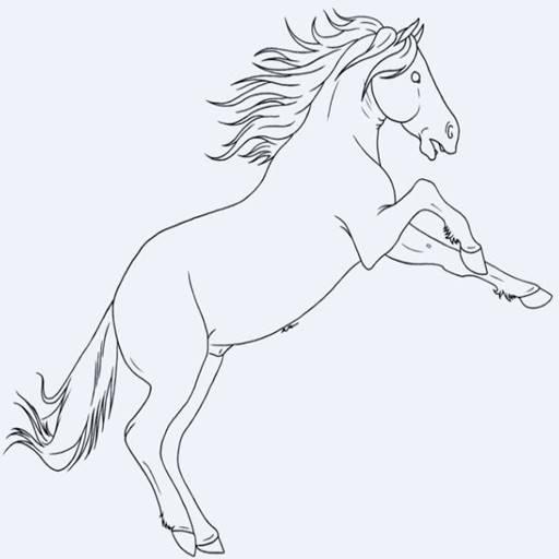 Detail Cara Menggambar Keledai Dan Kuda Nomer 13