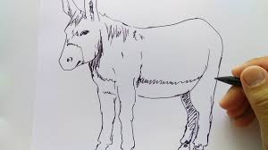 Detail Cara Menggambar Keledai Dan Kuda Nomer 29