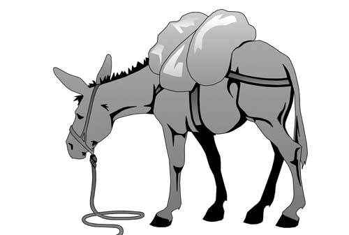 Detail Cara Menggambar Keledai Dan Kuda Nomer 42