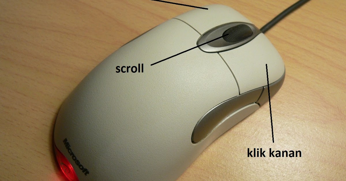 Detail Cara Menggambar Mouse Komputer Nomer 16