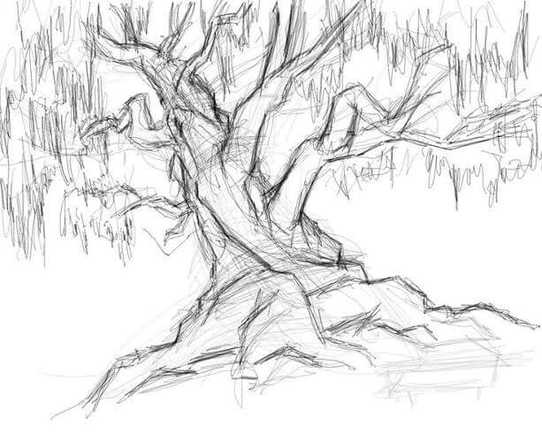 Detail Cara Menggambar Pohon Dengan Pensil Nomer 21