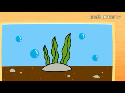 Cara Menggambar Rumput Laut - KibrisPDR